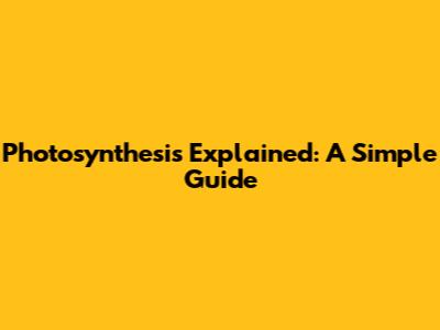 Photosynthesis Explained: A Simple Guide