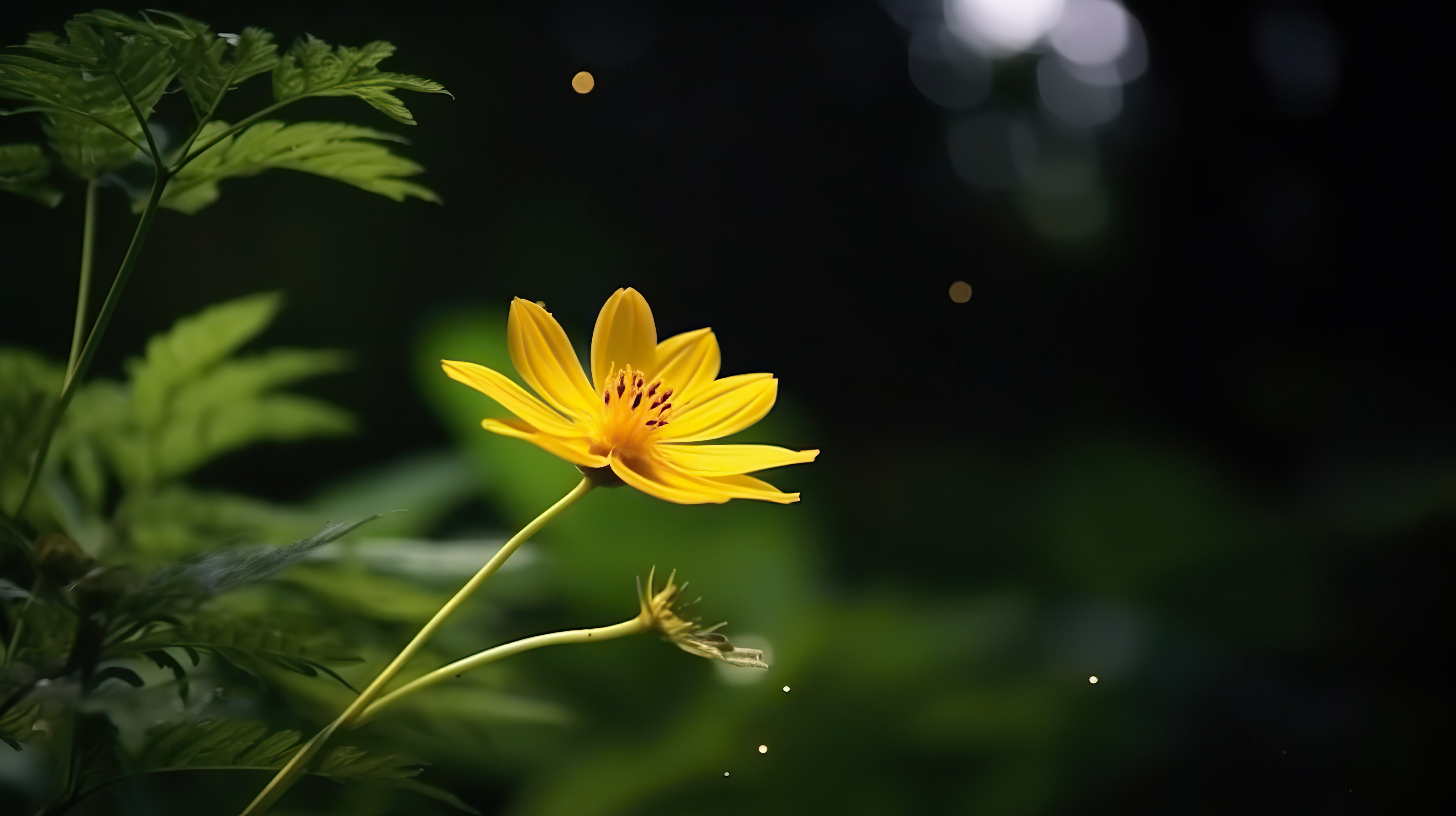 Close-up shot of beautiful yellow flower in jungle