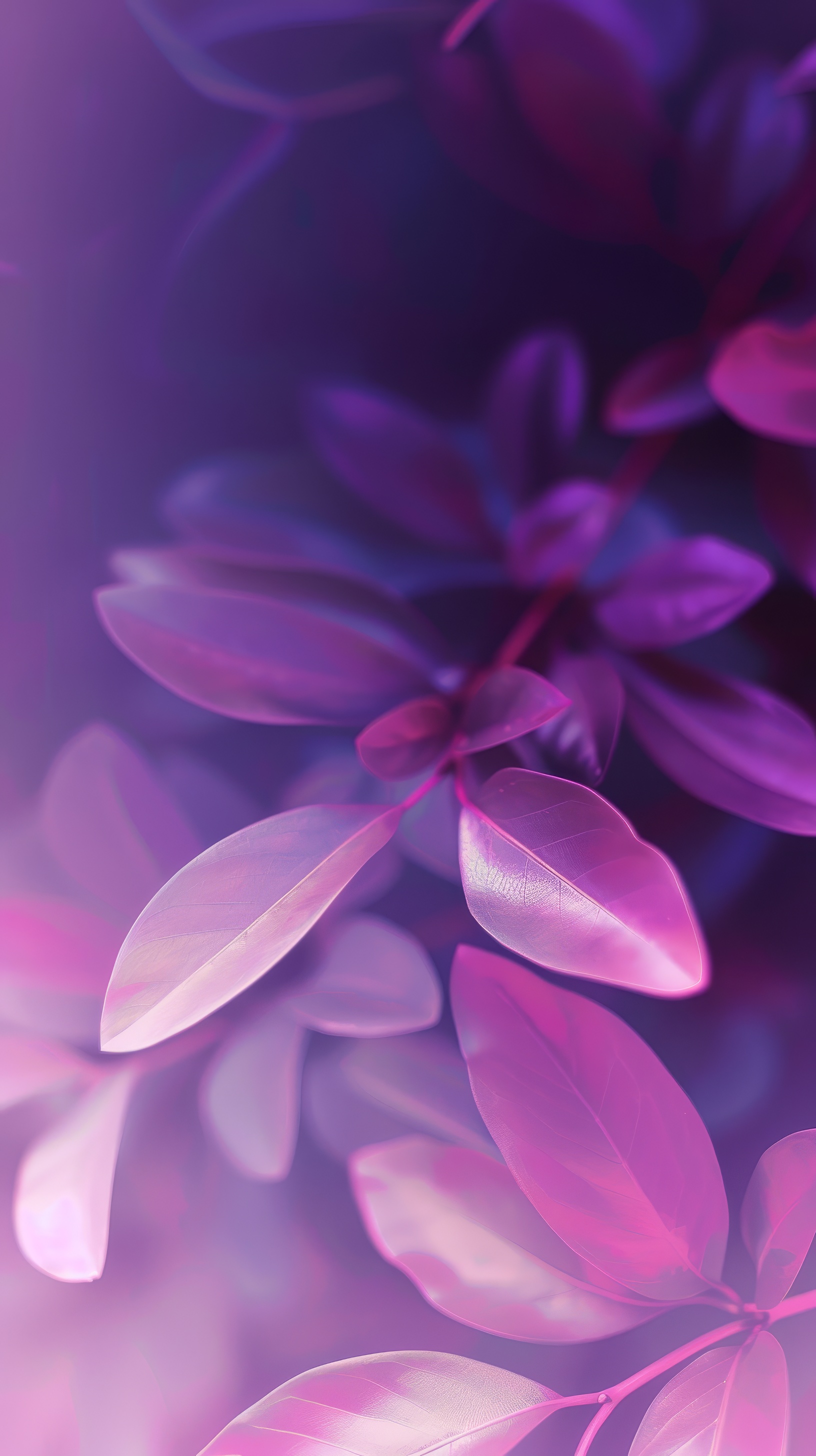 Abstract purple leafs