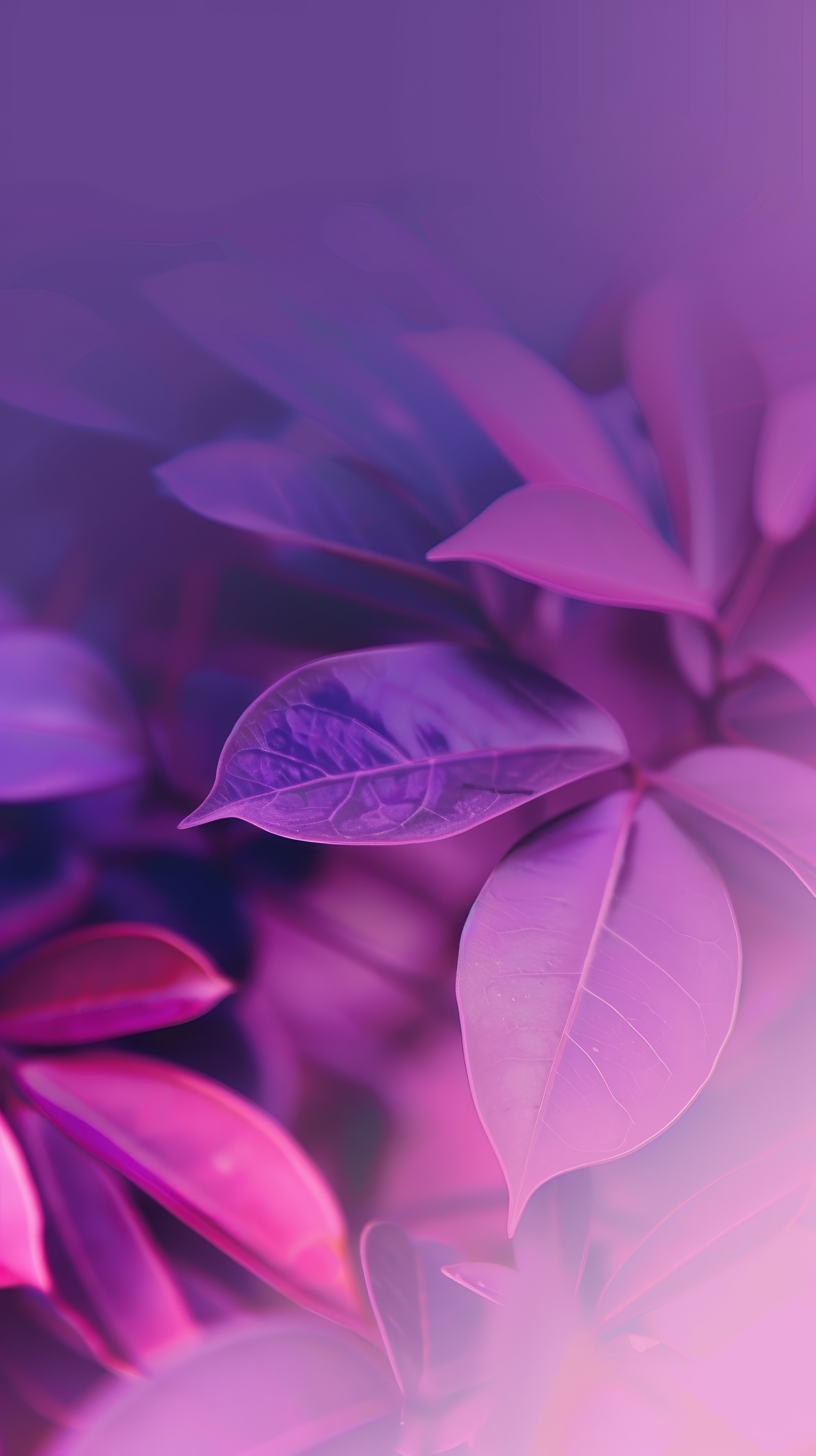 Abstract purple leafs