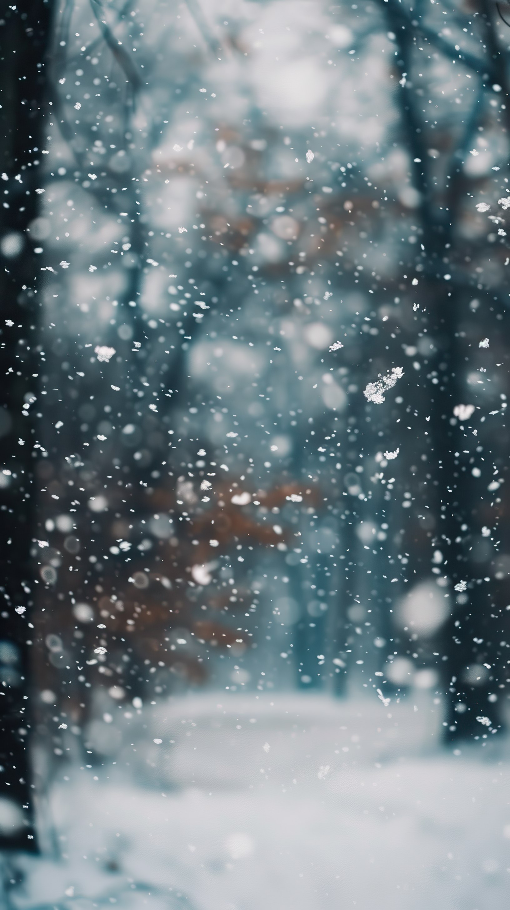 Close-up shot of Snowfall. Beautiful winter background