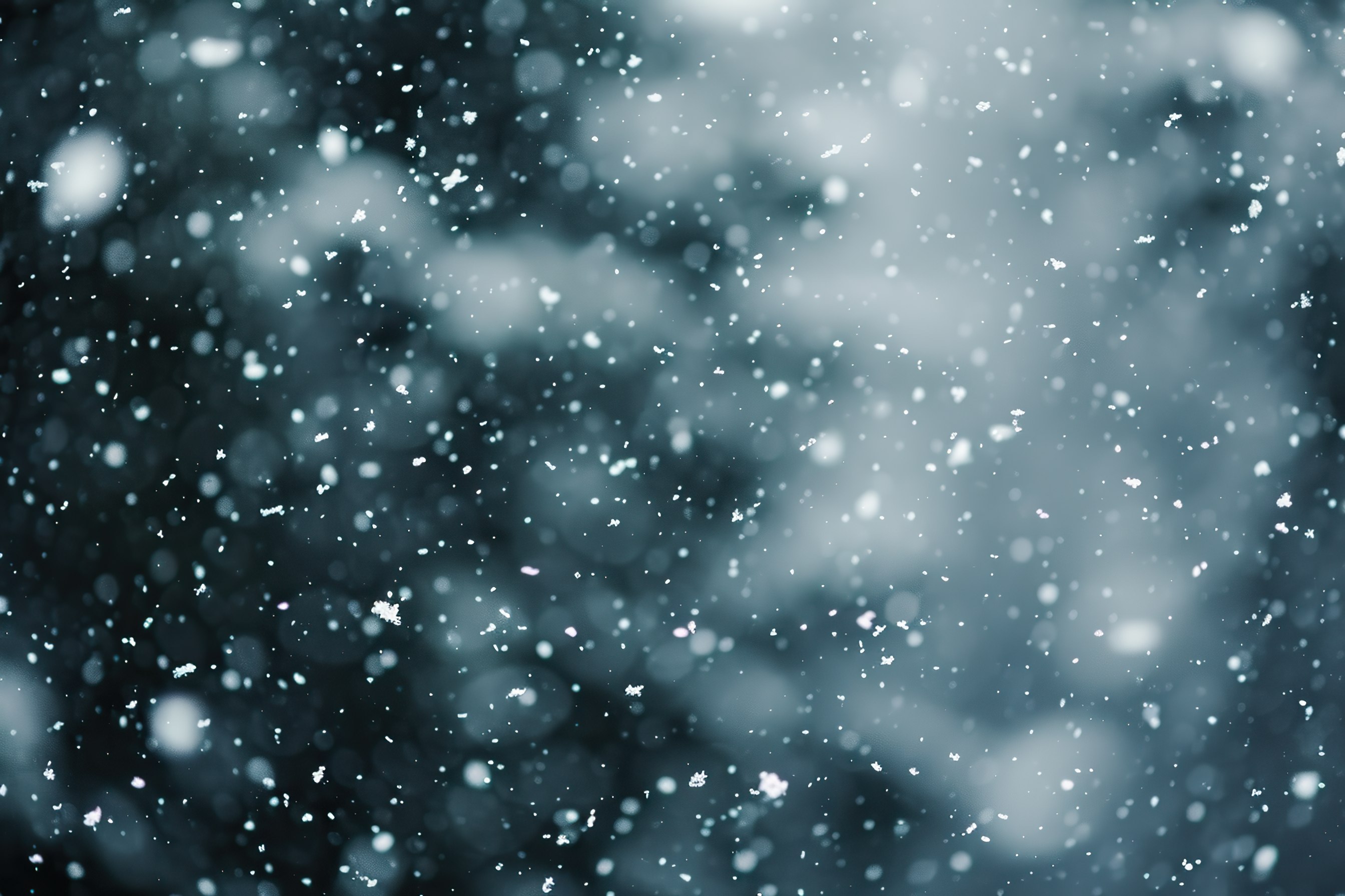 Close-up shot of Snowfall. Dark winter forest background