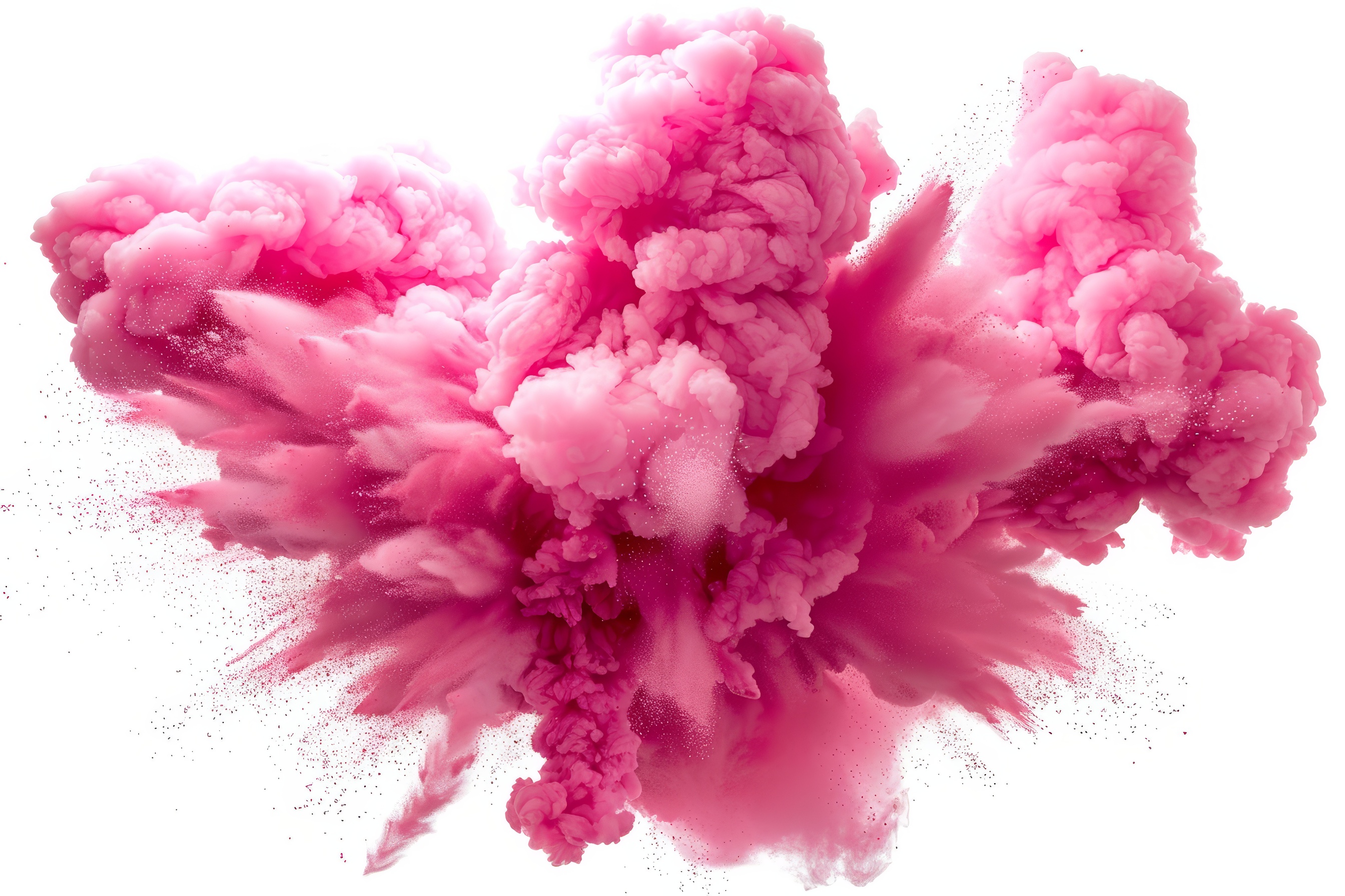 Pink powder explosion on white background