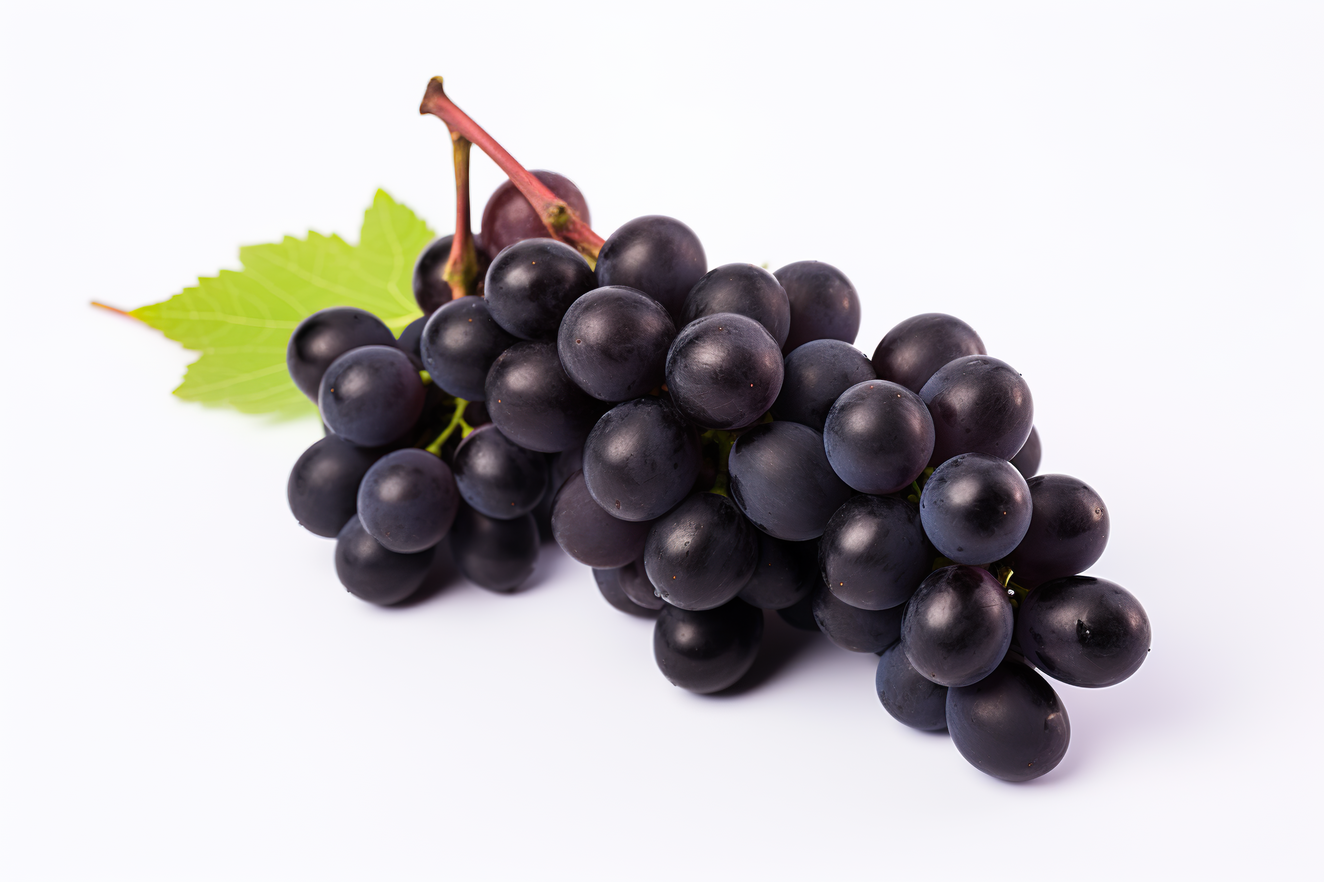 Purple grapes with green leaves, isolated on white background