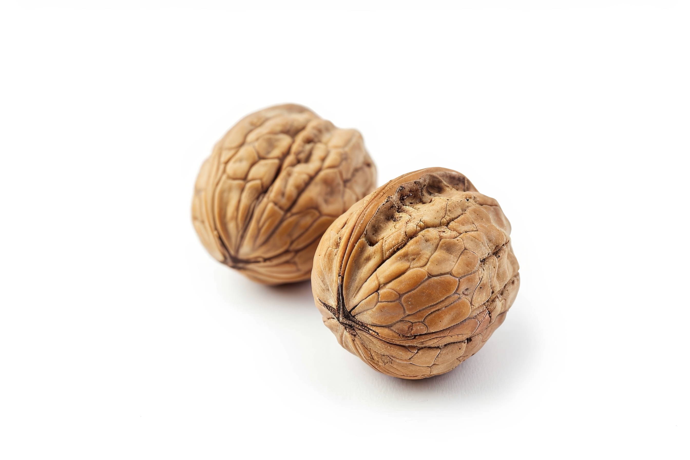 Two walnuts closeup on a white background