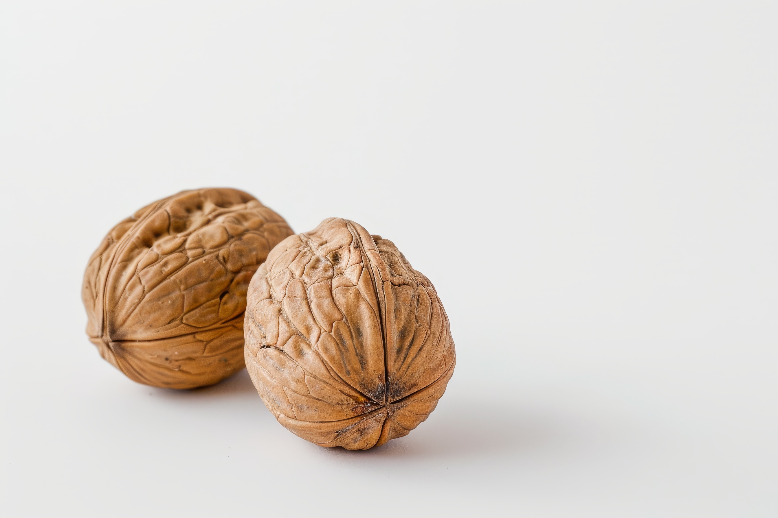 Two walnuts closeup on a white background