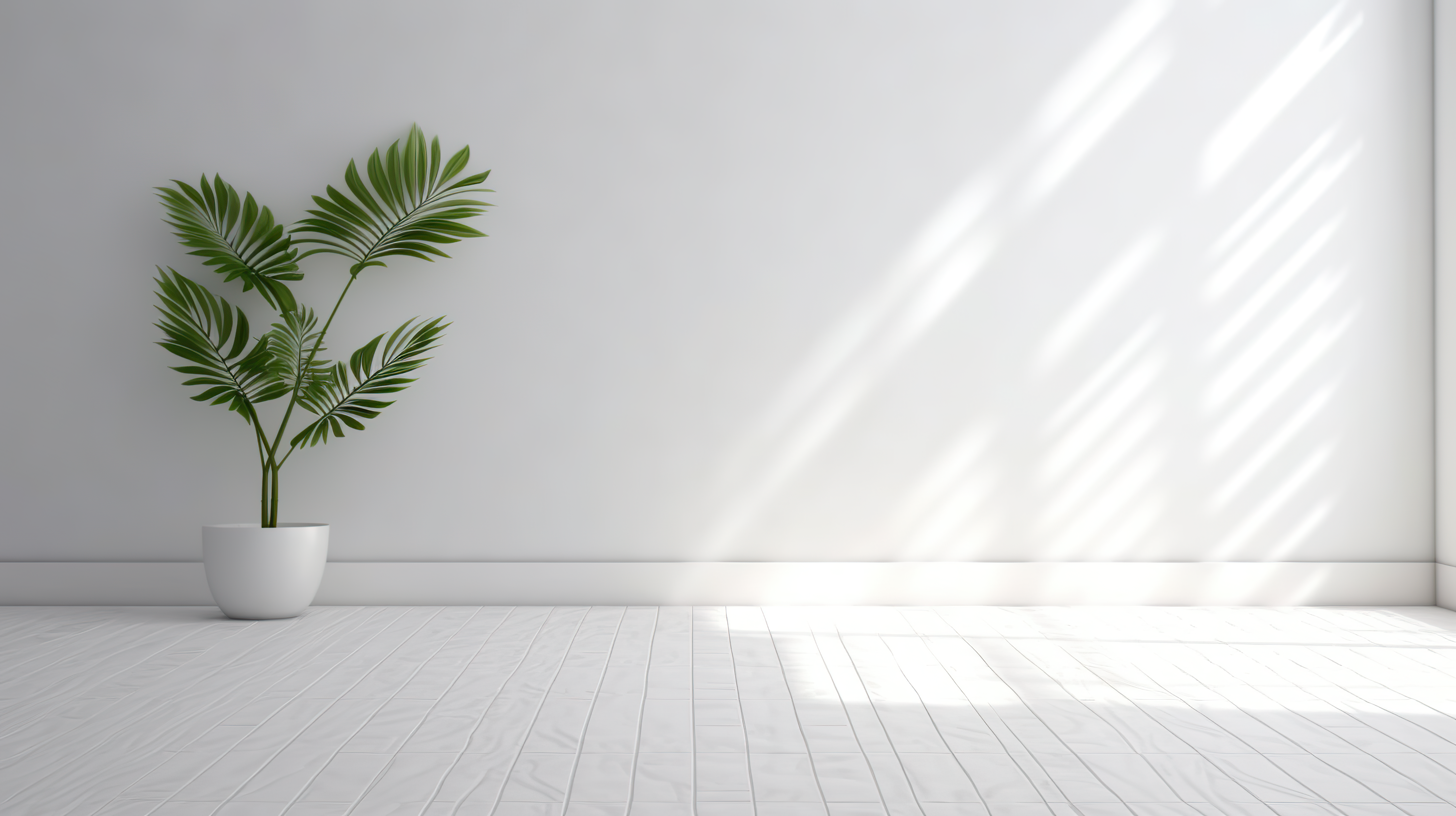 empty room with clean white wall and plant