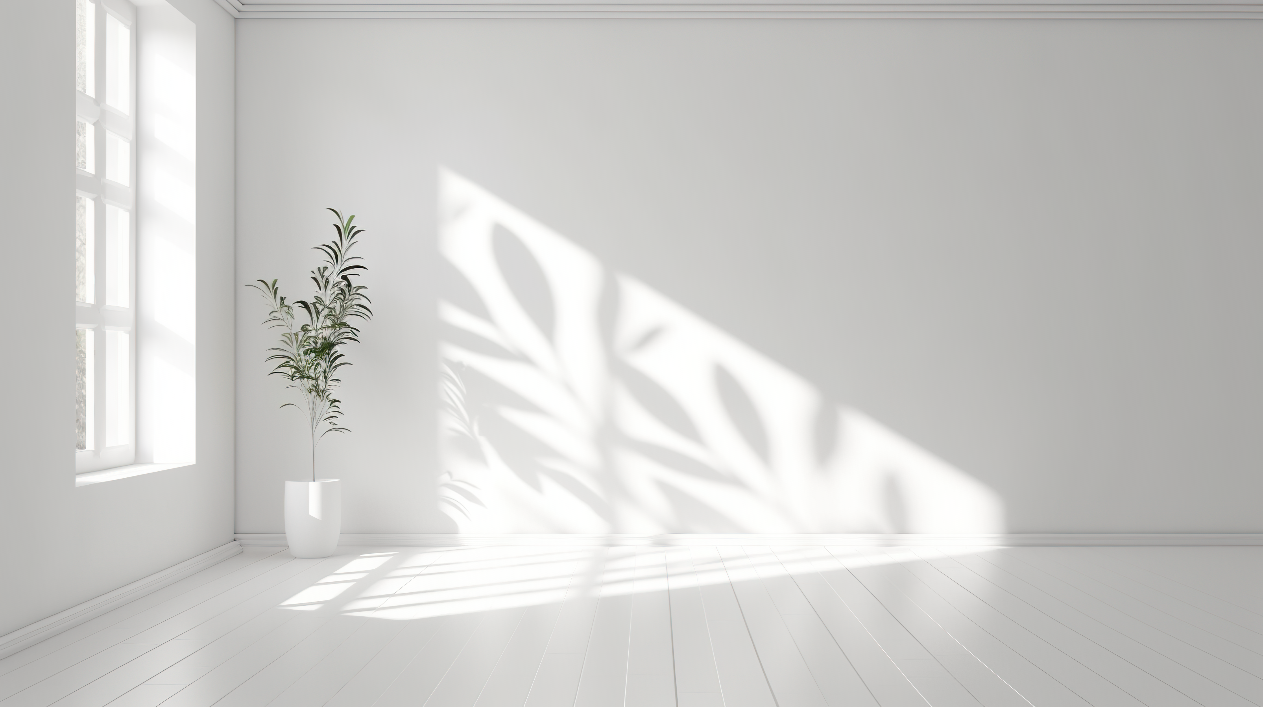 empty room with clean white wall and plant